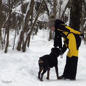 �������� � ����� ������...