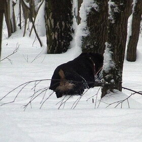 ������� � �����