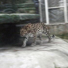 ������������� �������