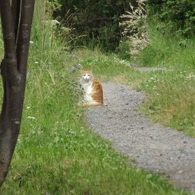 �������