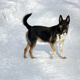 �� ��������...