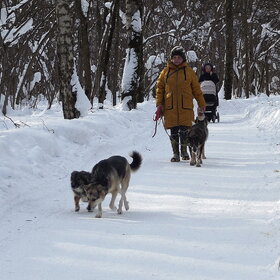 ��������� ������...